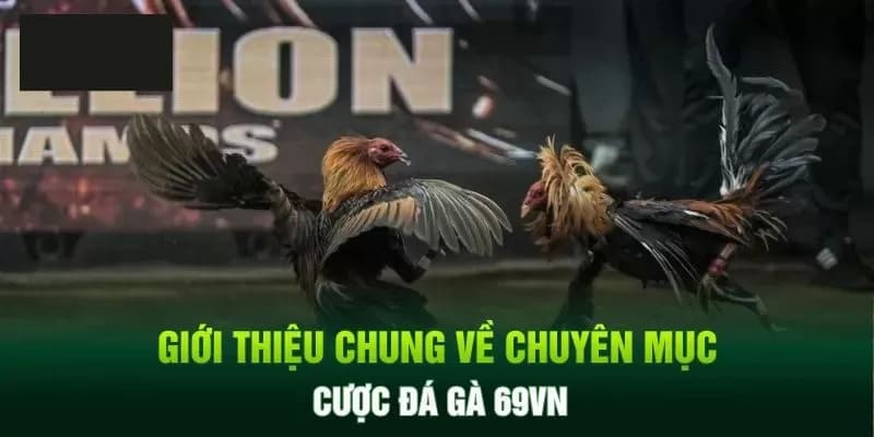 Giới thiệu thông tin về các sảnh đấu kê 69VN